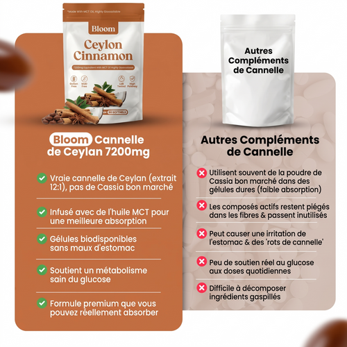 Cannelle de Ceylan – équivalent de 7 200 mg, avec huile TCM
